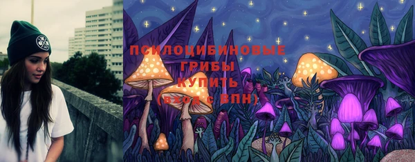 PSILOCYBIN Баксан
